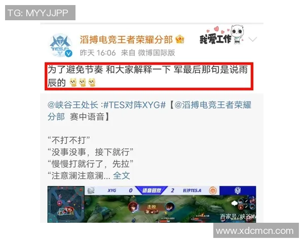 TES战术解析：深度剖析王者荣耀防反体系的运用与策略